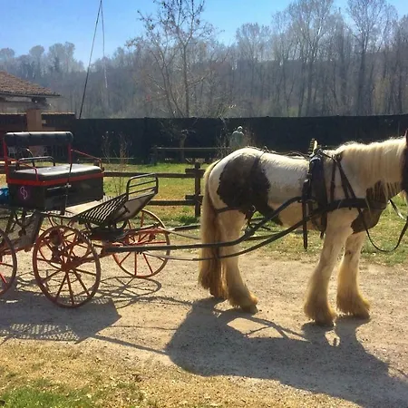 Bottera With Jacuzzi In The Garden Cuneo Langhe Piemonte * Riforano