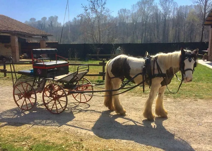 Bottera With Jacuzzi In The Garden Cuneo Langhe Piemonte * Riforano